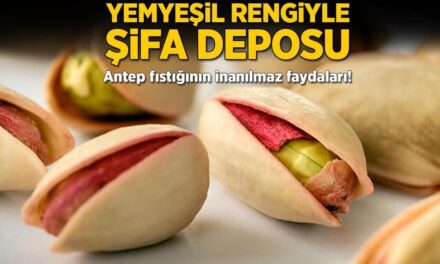 Yemyeşil rengiyle şifa deposu! Antep fıstığının inanılmaz faydaları