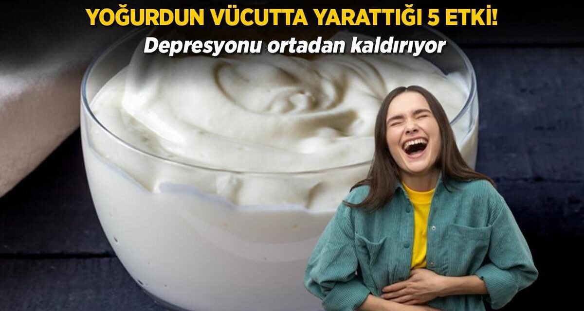 Sadece yoğurt yiyenler faydalanıyor, ilaç gibi! Mutluluğun reçetesi 1 kasede saklı