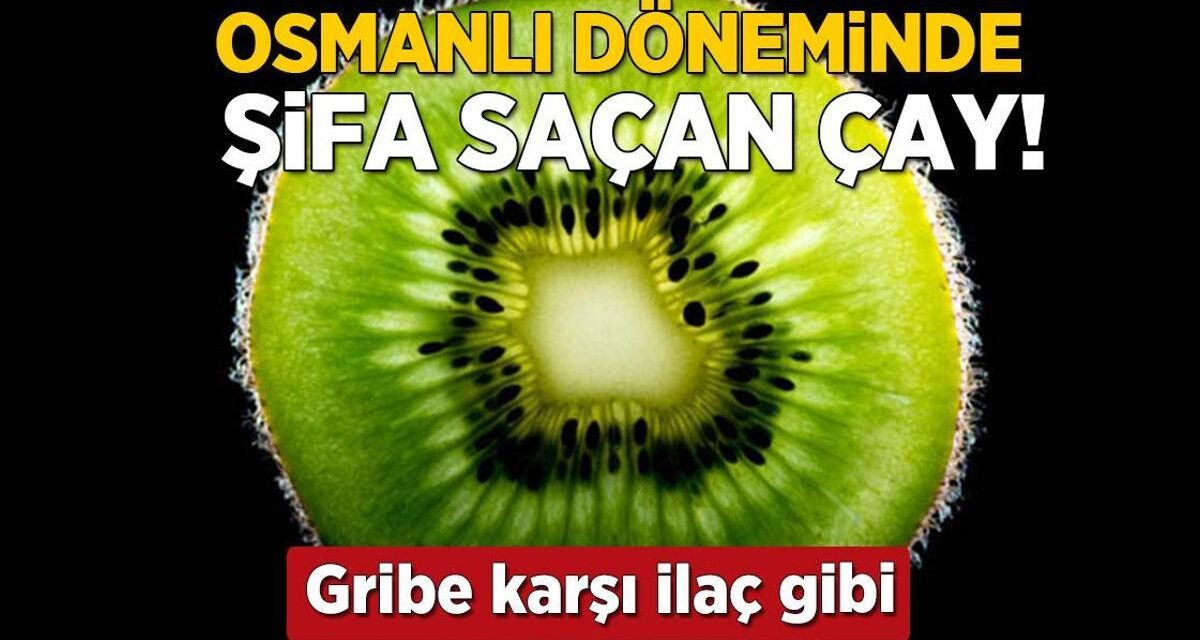 Osmanlı'da şifalı diye bardak bardak içilirdi! C vitamini takviyesinden bile etkiliymiş