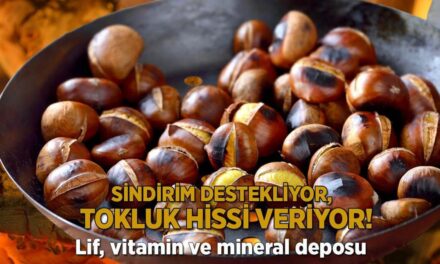 Lif, vitamin ve mineral deposu! Sindirimi destekliyor, tokluk hissi veriyor