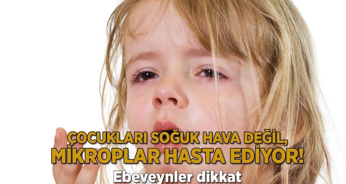 Ebeveynler dikkat! Çocukları soğuk hava değil, mikroplar hasta ediyor