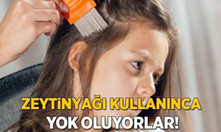 Saç bitinden arındıran en doğal yöntem! Her evde var, yapınca boğarak öldürüyor