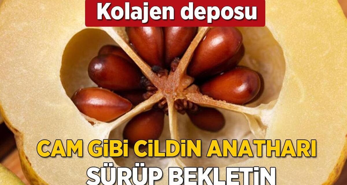 Cam gibi cildin sırrı ayva çekirdeği! Kozmetiklere para dökmeyin, adeta kolajen bombası