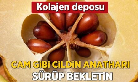 Cam gibi cildin sırrı ayva çekirdeği! Kozmetiklere para dökmeyin, adeta kolajen bombası