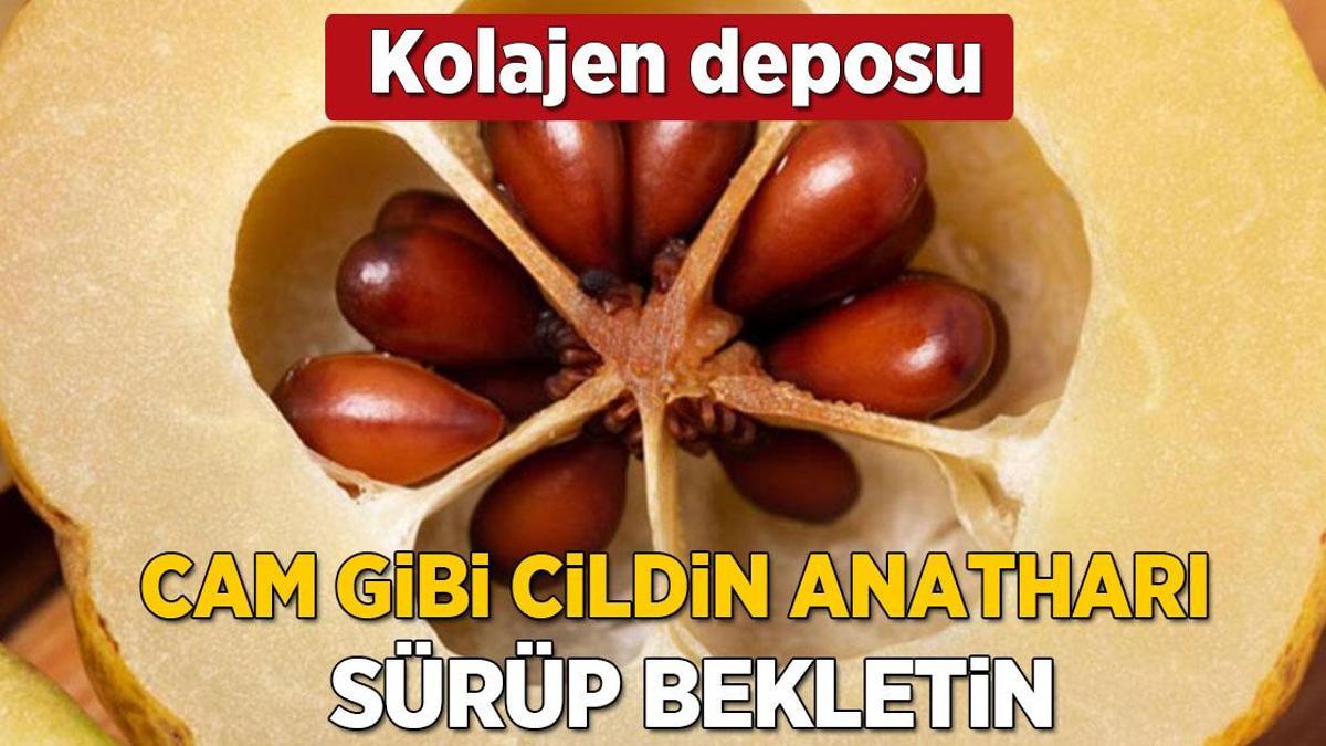 Cam gibi cildin sırrı ayva çekirdeği! Kozmetiklere para dökmeyin, adeta kolajen bombası