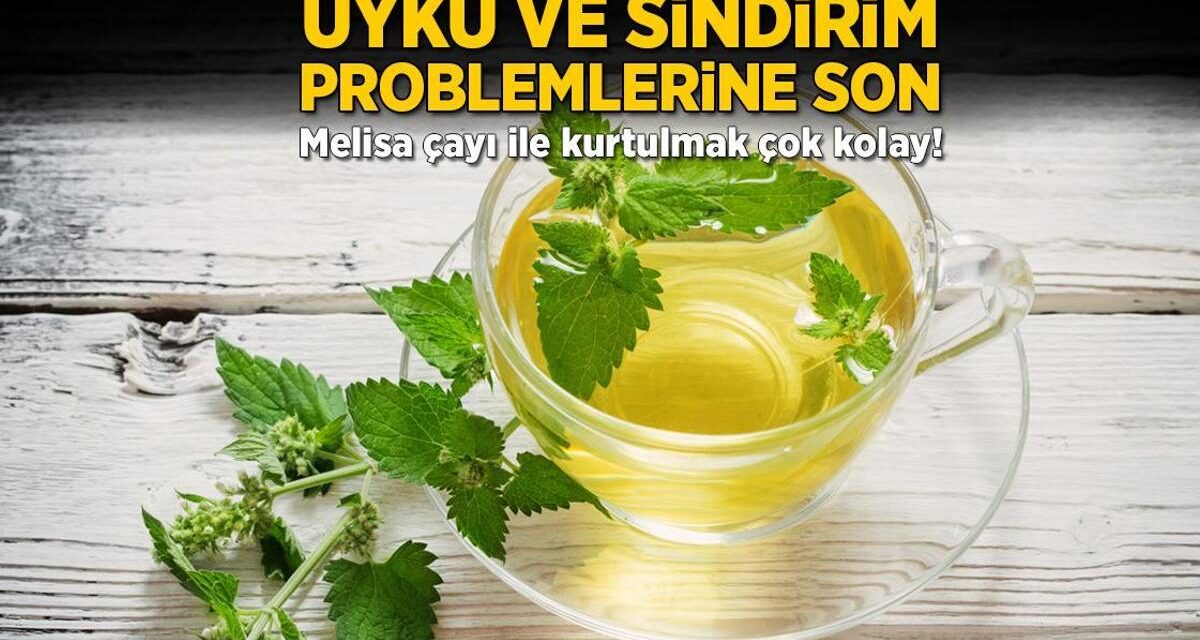 Uyku ve sindirim problemlerine son! Melisa çayı ile kurtulmak çok kolay