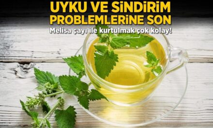 Uyku ve sindirim problemlerine son! Melisa çayı ile kurtulmak çok kolay