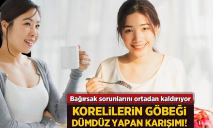 Göbeği dümdüz yapan Koreli karışımı! Bağırsak sorunlarını ortadan kaldırıyor