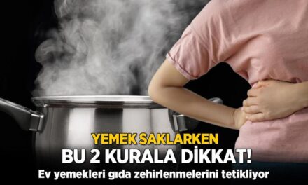 Yemek saklarken bu 2 kurala dikkat! Sıcak sıcak buzdolabına girerse zehirliyor