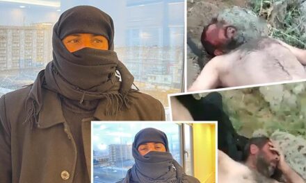 Şanlıurfa’da çobana dehşeti yaşattılar! Görüntüleri sosyal medyaya paylaşıldı… ‘Kimsenin yüzüne bakamıyorum’