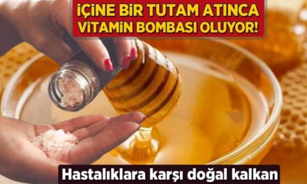 Balın içine bir tutam atınca vitamin bombası oluyor! Hastalıklara karşı doğal kalkan