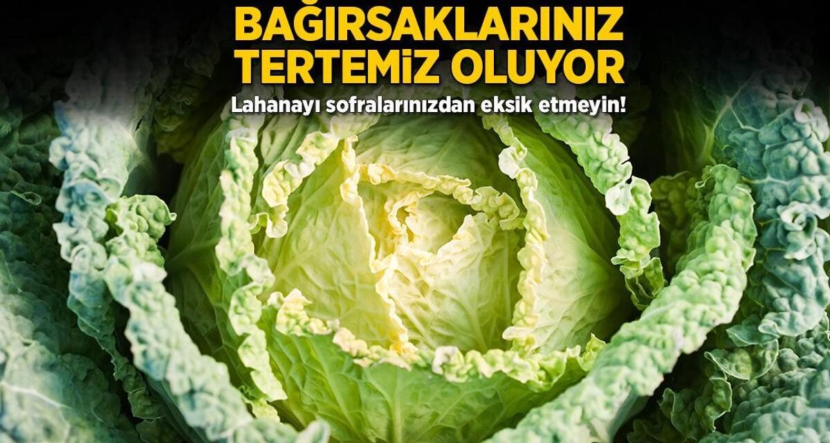 Bağırsaklarınız tertemiz oluyor! Lahanayı sofralarınızdan eksik etmeyin