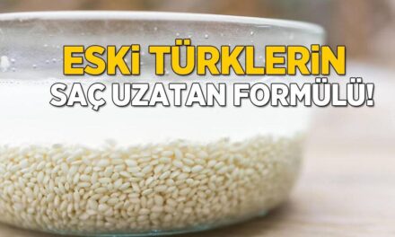 Eski Türklerin saçlarını Rapunzel gibi uzatıyordu! Meğer bu karışımı bilmiyormuşuz