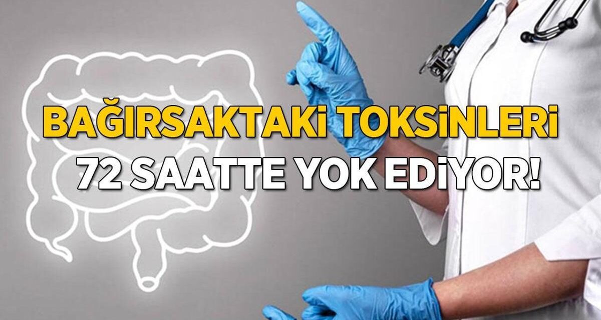 Bağırsaklardaki 3 kilo zehri 72 saatte temizliyor! Kaynatmak yeter, tarifi çok basit