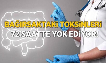 Bağırsaklardaki 3 kilo zehri 72 saatte temizliyor! Kaynatmak yeter, tarifi çok basit