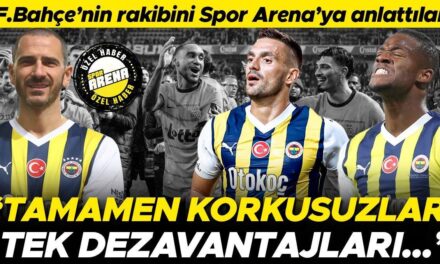 Fenerbahçe’nin rakibi Union Saint-Gilloise’yı Spor Arena’ya anlattılar: ‘Tamamen korkusuzlar!’ | ‘Bir dezavantajları var’