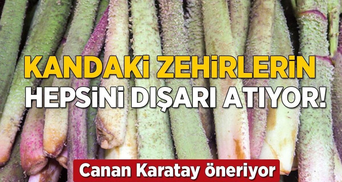 Canan Karatay’ın favorisi, Elazığ’da kendiliğinden yetişiyor! Kandaki zehri dışarı atıyor