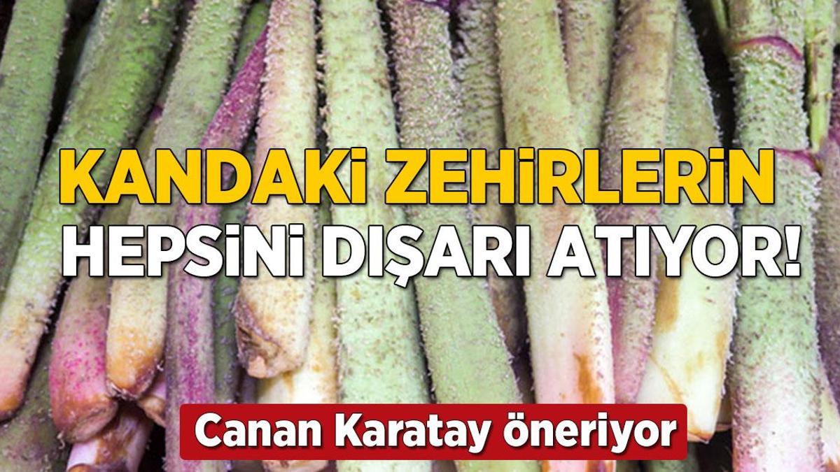 Canan Karatay’ın favorisi, Elazığ’da kendiliğinden yetişiyor! Kandaki zehri dışarı atıyor