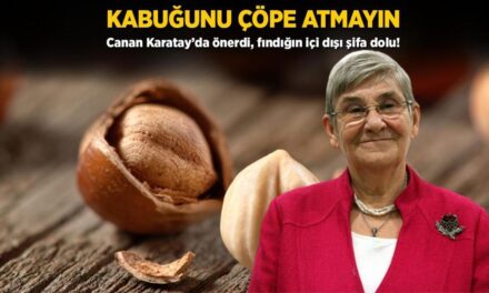 Kabuğunu çöpe atmayın! Canan Karatay da önerdi, fındığın içi dışı şifa dolu