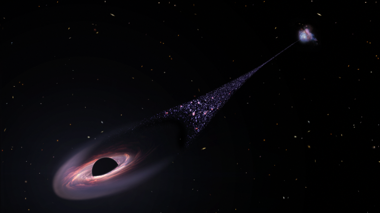 Who says all black holes are space vacuum cleaners?