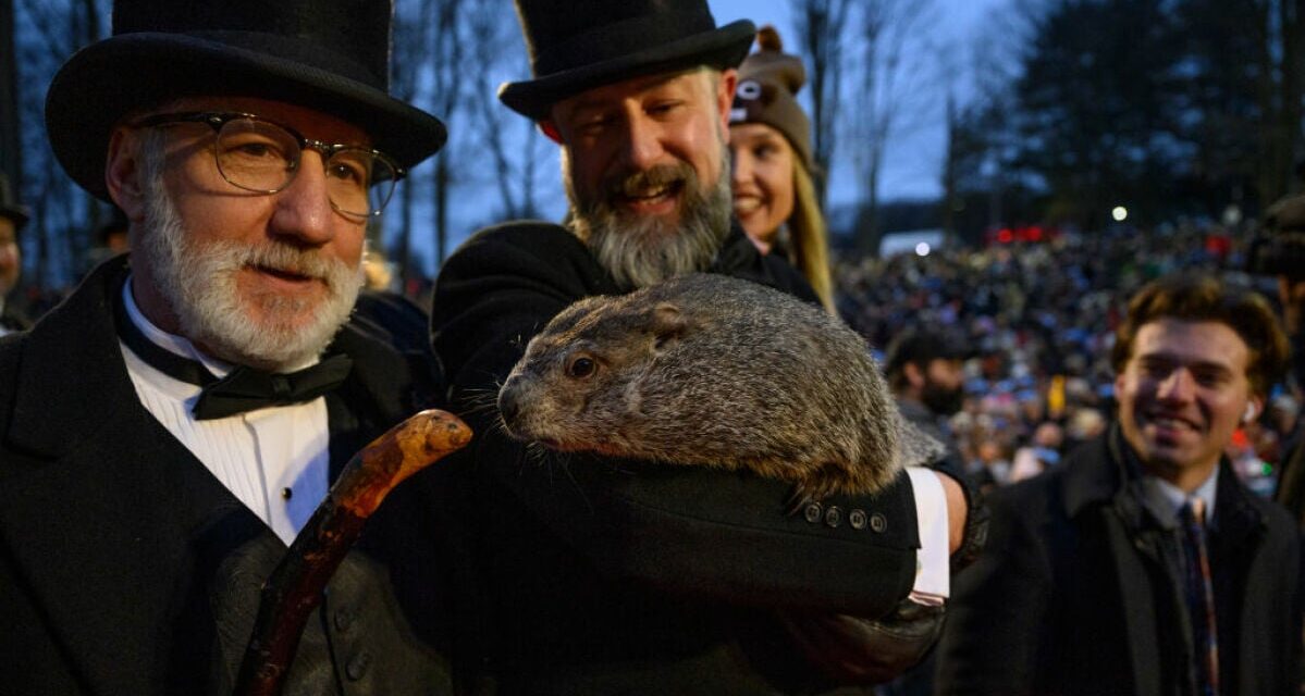 Punxsutawney Phil takes over the internet on Groundhog Day