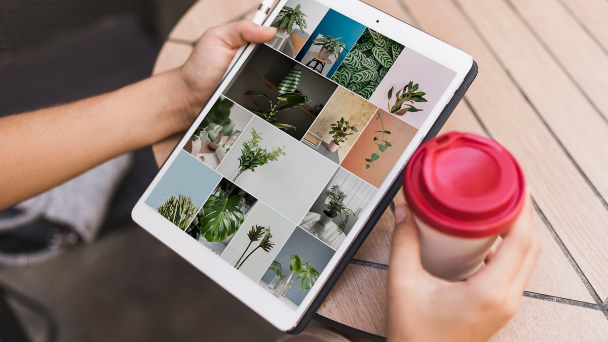 Get 2TB to store photos and videos for $279.99