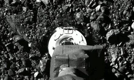 NASA reveals its total asteroid haul from ambitious space mission