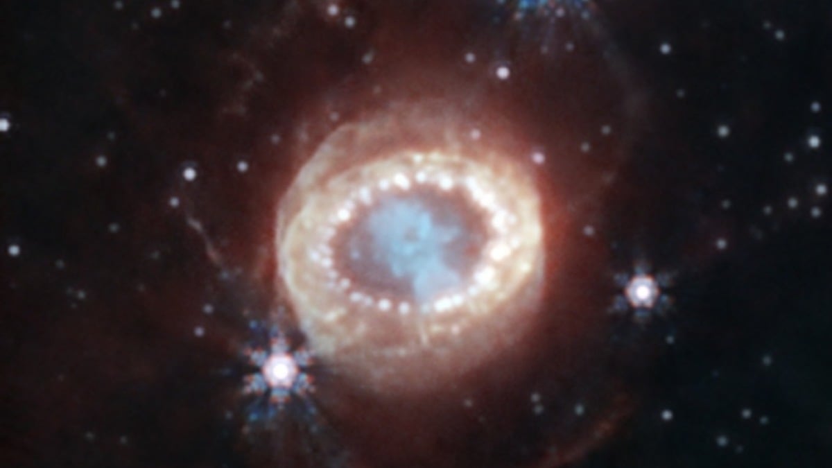Webb telescope just found the holy grail in a famous supernova
