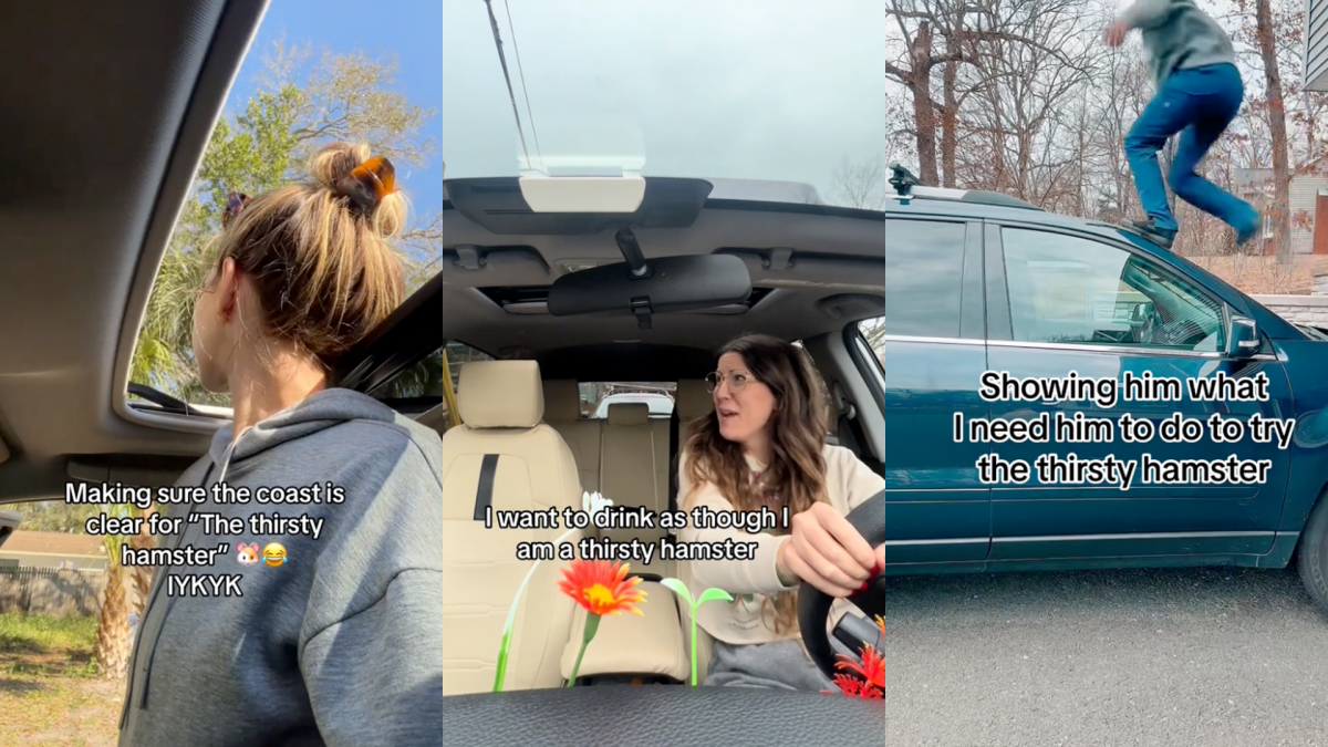 Hamstering TikTok trend explained: are people actually doing it?
