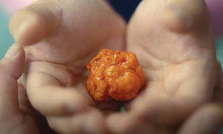 Netflix’s ‘Chicken Nugget’ trailer has to be seen to be believed