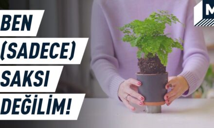 Bitkilerinize iyi gelecek bir saksı (Video YAŞAM)