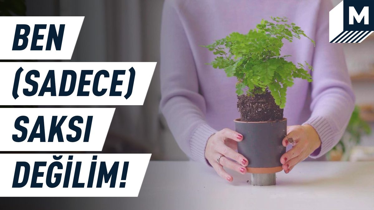 Bitkilerinize iyi gelecek bir saksı (Video YAŞAM)