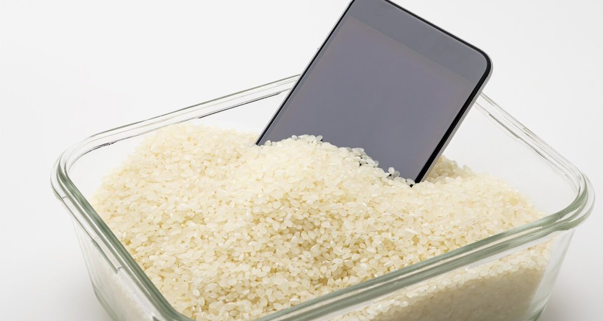 Apple uyarıyor: Islanan telefonu pirinç içerisine koymayın!
