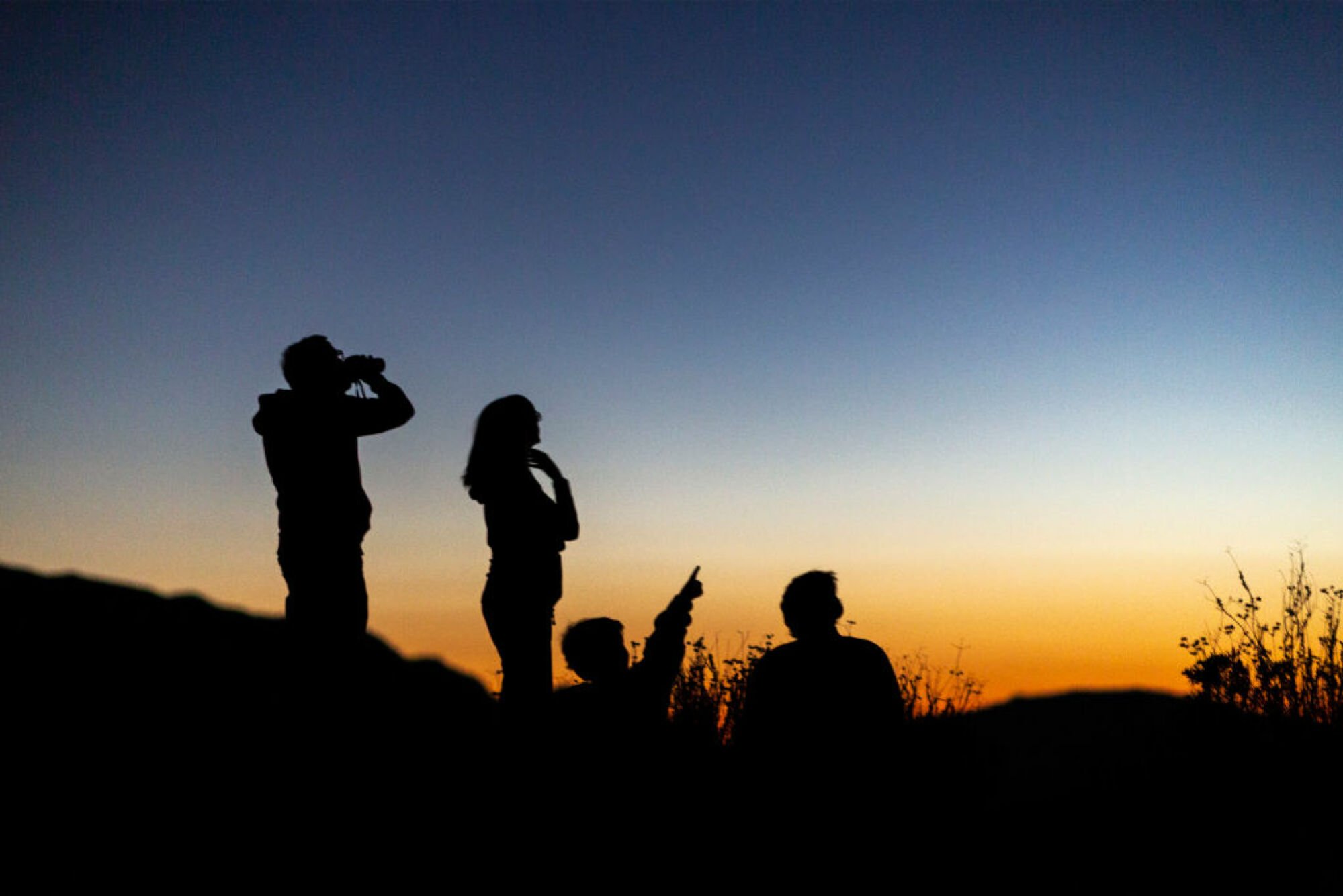 People watching for Comet NEOWISE