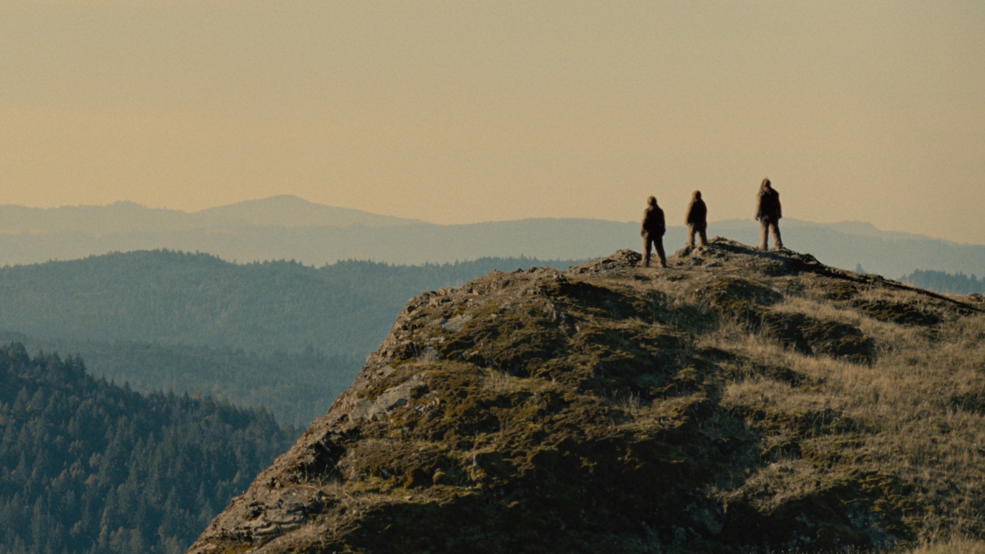 Three Sasquatches stand on a hillside.