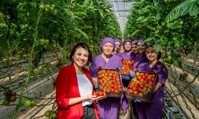 Alarko Tarım Grubu, jeotermal seracılıkta ilk 10’u hedefliyor