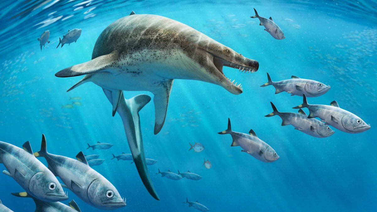 Dinozorlar döneminden ‘hançer dişli’ bir deniz canavarı! ‘Balık olmak için çok kötü bir çağ…’