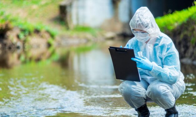 Pandemi döneminde doğa kendini iyileştirdi mi? Hayır…