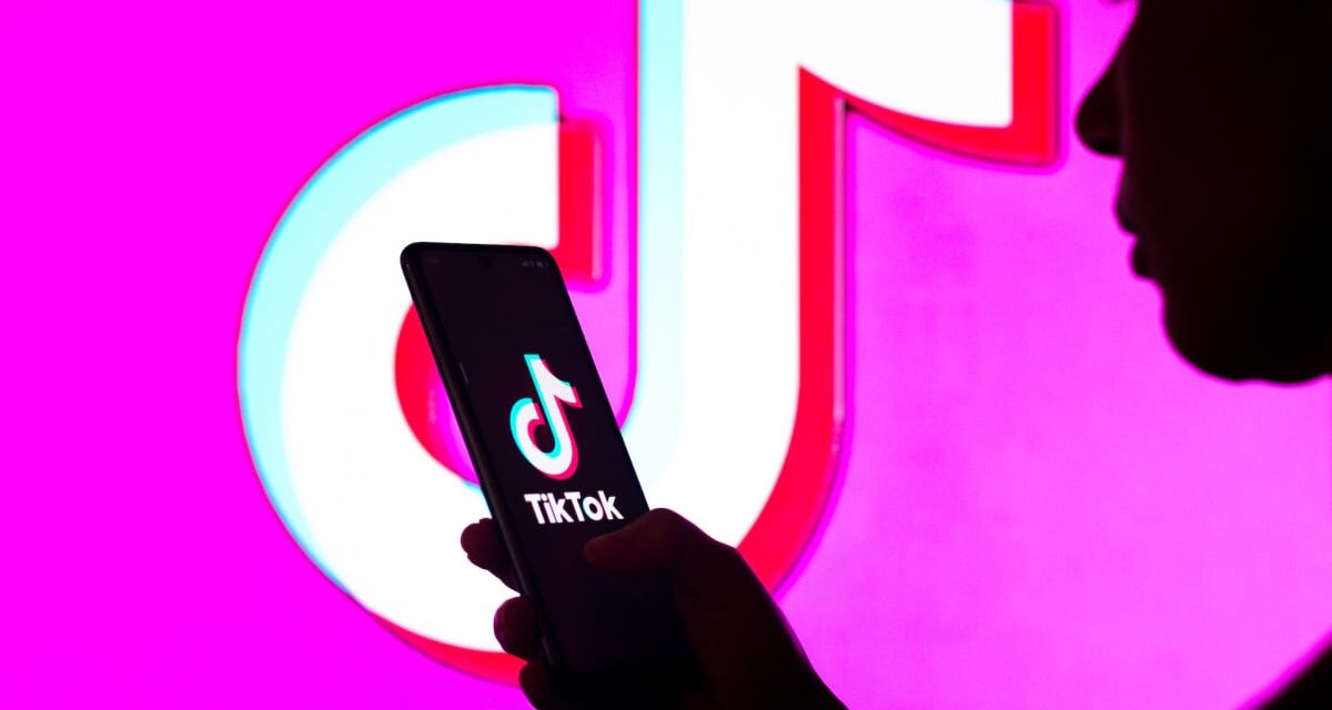 Which countries have banned TikTok?