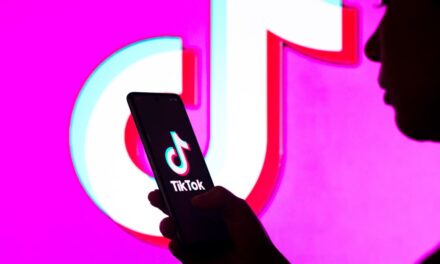 Which countries have banned TikTok?