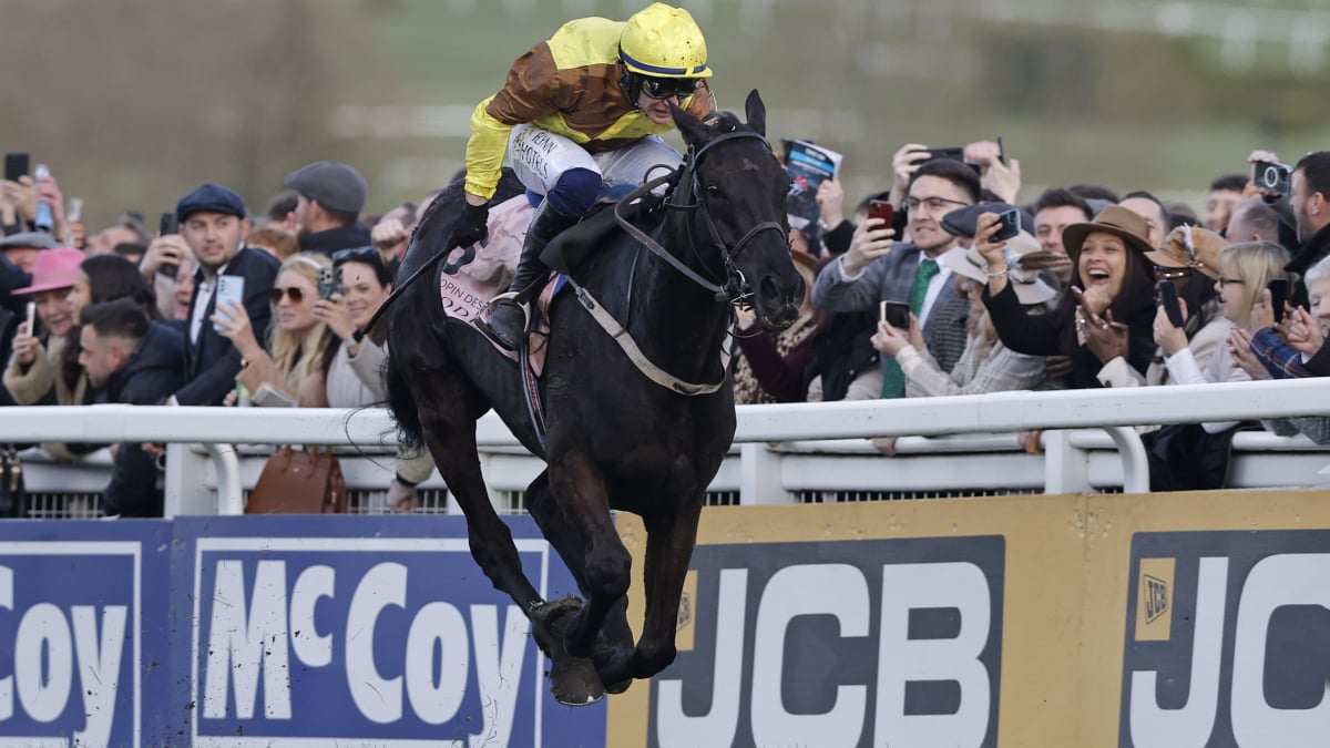 Cheltenham Festival 2024 livestream: How to watch Cheltenham Festival for free
