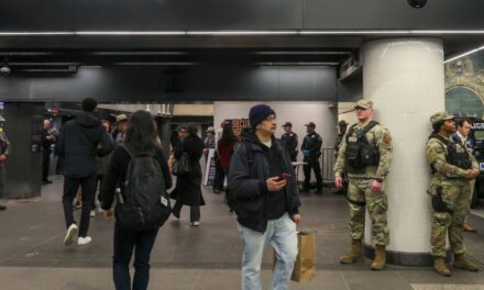 New Yorkers react to National Guard subway deployment with memes, jokes, anger, and confusion