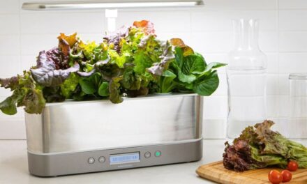 Best home deal: Get the AeroGarden Harvest Elite Slim for 43% off at Amazon