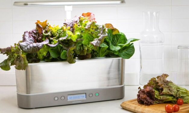 Best home deal: Get the AeroGarden Harvest Elite Slim for 43% off at Amazon