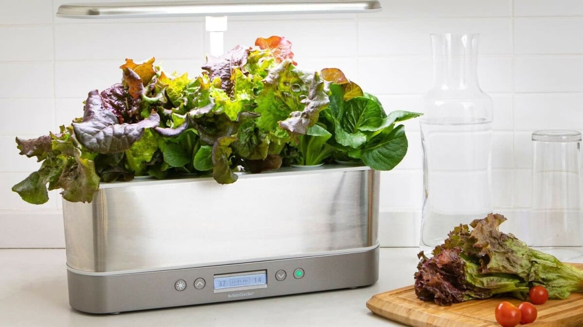 Best home deal: Get the AeroGarden Harvest Elite Slim for 43% off at Amazon