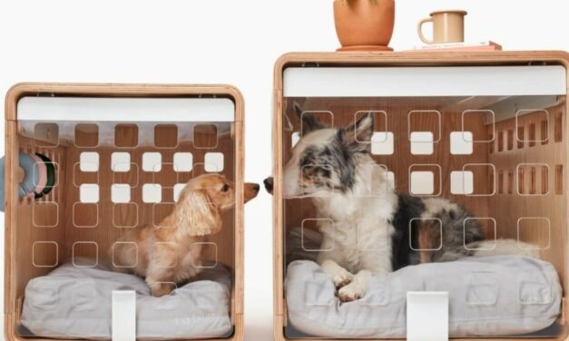 Best pet deal: Save 20% on select items at Fable Pets