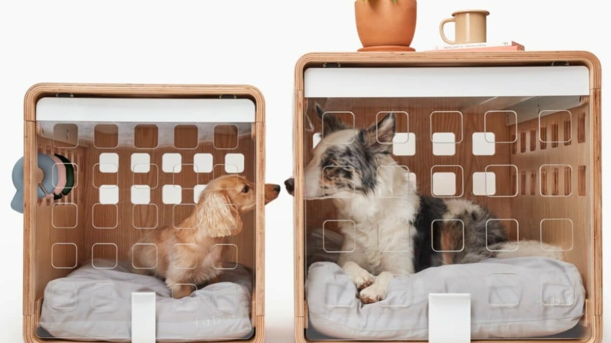 Best pet deal: Save 20% on select items at Fable Pets