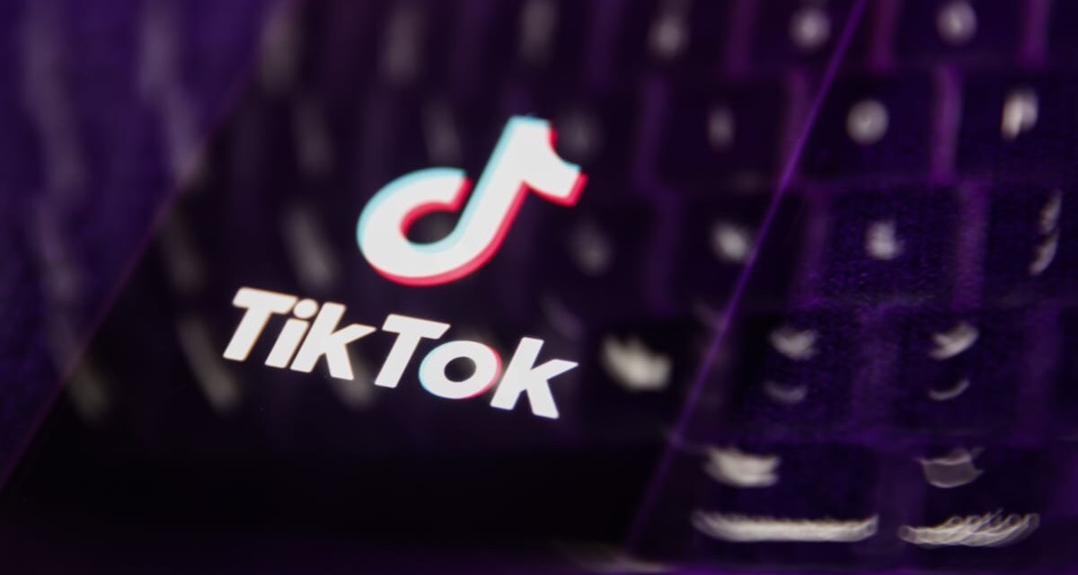 TikTok takes on U.S. Senators and billionaires as ban looms