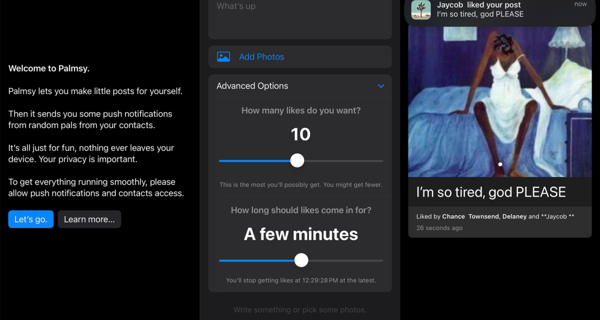 Palmsy is an anti-social social media app