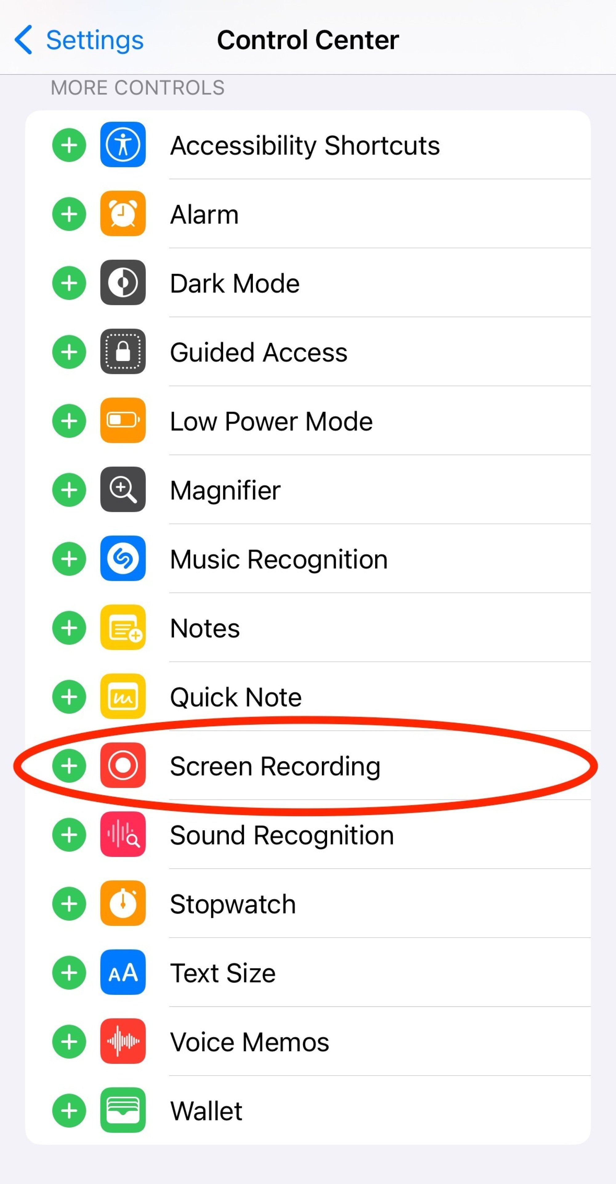 Control Center Settings on an iPhone with the Screen Recording option circled in red.